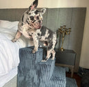 Gray helmet for bikers